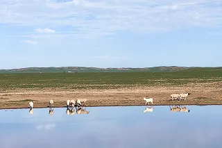 モンゴル(蛍石鉱山付近)