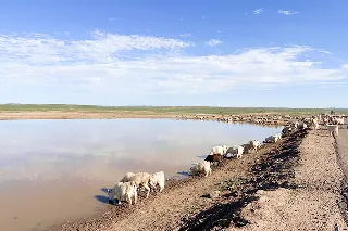 モンゴル(蛍石鉱山付近)